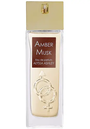 Amber Musk Fragrance By Alyssa Ashley 2020