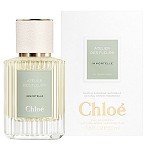 Atelier des Fleurs Immortelle perfume for Women  by  Chloe