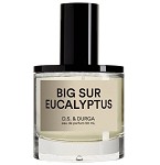 Big Sur Eucalyptus Unisex fragrance  by  D.S. & Durga