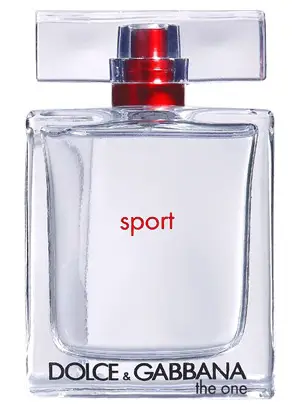 dolce and gabbana the one sport review