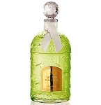 Vetiver Pour Elle perfume for Women  by  Guerlain