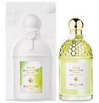 Aqua Allegoria Harvest Nerolia Vetiver perfume for Women  by  Guerlain