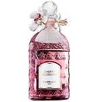 Cherry Blossom 2024 perfume for Women  by  Guerlain