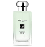 Osmanthus Blossom 2020 perfume for Women  by  Jo Malone