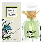 Herbae perfume for Women  by  L'Occitane en Provence