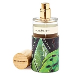 Collages Rainforest Unisex fragrance  by  Natura