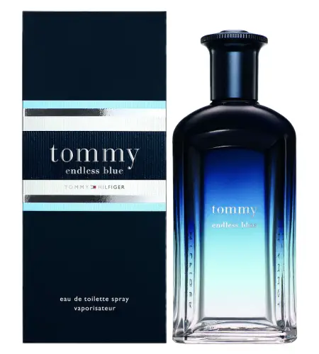 tommy hilfiger into the surf cologne