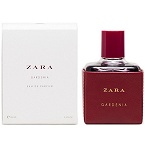 Leather Collection Gardenia perfume for Women  by  Zara